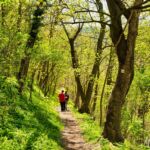 Wanderung Reinhardsbrunn - Waltershausen - Tabarz " 19.04.2019 - <a href="">© FotoGlut - Michael Stollmann</a> Abwärts gehts - © FotoGlut - Michael Stollmann