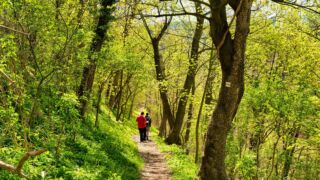 Abwärts gehts - © FotoGlut - Michael Stollmann