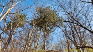 auf dem Weg zum Schloß Tenneberg - © FotoGlut - Michael Stollmann