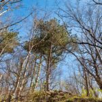 Wanderung Reinhardsbrunn - Waltershausen - Tabarz " 19.04.2019 - <a href="">© FotoGlut - Michael Stollmann</a> auf dem Weg zum Schloß Tenneberg - © FotoGlut - Michael Stollmann