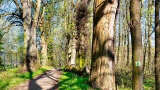 auf zum Badesee - © FotoGlut - Michael Stollmann