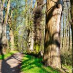 Wanderung Reinhardsbrunn - Waltershausen - Tabarz " 19.04.2019 - <a href="">© FotoGlut - Michael Stollmann</a> auf zum Badesee - © FotoGlut - Michael Stollmann