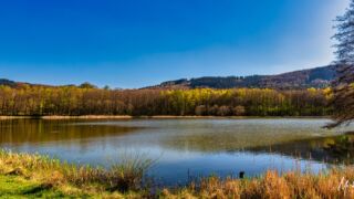 Badesee Friedrichroda - © FotoGlut - Michael Stollmann