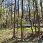 Wanderung Reinhardsbrunn - Waltershausen - Tabarz " 19.04.2019 - <a href="">© FotoGlut - Michael Stollmann</a> ein Zug wird kommen - © FotoGlut - Michael Stollmann