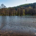 Wanderung Reinhardsbrunn - Waltershausen - Tabarz " 19.04.2019 - <a href="https://wanderstruck.de">© FotoGlut - Michael Stollmann</a> Gondelteich Reinhardsbrunn - © FotoGlut - Michael Stollmann
