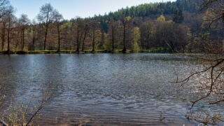 Gondelteich Reinhardsbrunn - © FotoGlut - Michael Stollmann