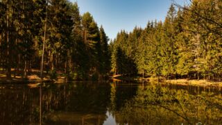 Komstkochteich Waltershausen - © FotoGlut - Michael Stollmann