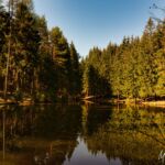 Wanderung Reinhardsbrunn - Waltershausen - Tabarz " 19.04.2019 - <a href="">© FotoGlut - Michael Stollmann</a> Komstkochteich Waltershausen - © FotoGlut - Michael Stollmann