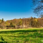 Wanderung Reinhardsbrunn - Waltershausen - Tabarz " 19.04.2019 - <a href="">© FotoGlut - Michael Stollmann</a> Parkplatz Schloss Reinhardsbrunnen - © FotoGlut - Michael Stollmann