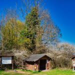 Wanderung Reinhardsbrunn - Waltershausen - Tabarz " 19.04.2019 - <a href="">© FotoGlut - Michael Stollmann</a> Rasthütte nähe Tabarz - © FotoGlut - Michael Stollmann