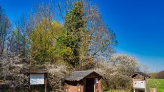 Rasthütte nähe Tabarz - © FotoGlut - Michael Stollmann