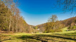 Schloß Tenneberg über dem Tal - © FotoGlut - Michael Stollmann