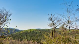 Sendeturm - Großer Inselsberg - © FotoGlut - Michael Stollmann