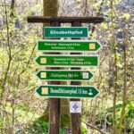 Wanderung Reinhardsbrunn - Waltershausen - Tabarz " 19.04.2019 - <a href="">© FotoGlut - Michael Stollmann</a> wo gehts lang? - © FotoGlut - Michael Stollmann