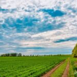 Auf der einen Seite weite Felder auf der anderen Seite der Stausee (hinter den Bäumen) - <a href="https://wanderstruck.de">© FotoGlut - Michael Stollmann</a> Wanderung - Talsperre Dachwig - © FotoGlut - Michael Stollmann
