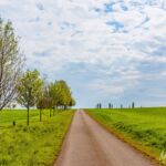 es geht sogar Bergauf :-) - <a href="https://wanderstruck.de">© FotoGlut - Michael Stollmann</a> Wanderung - Talsperre Dachwig - © FotoGlut - Michael Stollmann