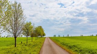 es geht sogar Bergauf :-) - <a href="https://wanderstruck.de">© FotoGlut - Michael Stollmann</a> Wanderung - Talsperre Dachwig - © FotoGlut - Michael Stollmann