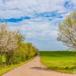 links Bäume und Büsche, rechts Felder, so macht das Spass... mehr Bilder von dieser und anderer Wanderungen auf https://wanderstruck.de/natur/ - <a href="https://wanderstruck.de">© FotoGlut - Michael Stollmann</a> Wanderung - Talsperre Dachwig - © FotoGlut - Michael Stollmann