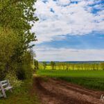 Eine Bank am Wegrand... mehr Bilder von der Wanderung auf https://wanderstruck.de/natur/ - <a href="https://wanderstruck.de">© FotoGlut - Michael Stollmann</a> Wanderung - Talsperre Dachwig - © FotoGlut - Michael Stollmann