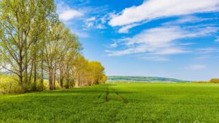 Felder fast soweit das Auge schaut - <a href="https://wanderstruck.de">© FotoGlut - Michael Stollmann</a> Wanderung - Talsperre Dachwig - © FotoGlut - Michael Stollmann