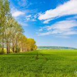 Felder fast soweit das Auge schaut - <a href="https://wanderstruck.de">© FotoGlut - Michael Stollmann</a> Wanderung - Talsperre Dachwig - © FotoGlut - Michael Stollmann