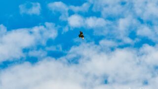 Leider nur mit einem 24-70er aufgenommen... Ist das ein Rotmilan? Oder was könnte das sein? - <a href="https://wanderstruck.de">© FotoGlut - Michael Stollmann</a> Wanderung - Talsperre Dachwig - © FotoGlut - Michael Stollmann