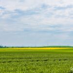 Ja, auch Rapsfelder gibt es hier. - <a href="https://wanderstruck.de">© FotoGlut - Michael Stollmann</a> Wanderung - Talsperre Dachwig - © FotoGlut - Michael Stollmann