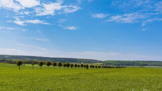 von wo weht hier wohl der Wind? - <a href="https://wanderstruck.de">© FotoGlut - Michael Stollmann</a> Wanderung - Talsperre Dachwig - © FotoGlut - Michael Stollmann