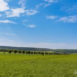 von wo weht hier wohl der Wind? - <a href="https://wanderstruck.de">© FotoGlut - Michael Stollmann</a> Wanderung - Talsperre Dachwig - © FotoGlut - Michael Stollmann
