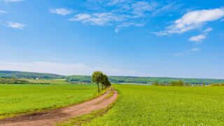 immer am Feld entlang Richtung Kleinfahner - <a href="https://wanderstruck.de">© FotoGlut - Michael Stollmann</a> Wanderung - Talsperre Dachwig - © FotoGlut - Michael Stollmann