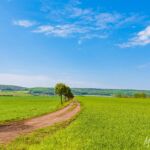 immer am Feld entlang Richtung Kleinfahner - <a href="https://wanderstruck.de">© FotoGlut - Michael Stollmann</a> Wanderung - Talsperre Dachwig - © FotoGlut - Michael Stollmann