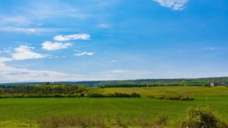 Obstspaliere... - <a href="https://wanderstruck.de">© FotoGlut - Michael Stollmann</a> Wanderung - Talsperre Dachwig - © FotoGlut - Michael Stollmann