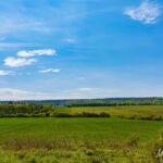 Obstspaliere... - <a href="https://wanderstruck.de">© FotoGlut - Michael Stollmann</a> Wanderung - Talsperre Dachwig - © FotoGlut - Michael Stollmann