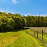 Auf in den Wald ... So wie die Sonne heute geschienen hat, löst dies echte Vorfreude aus. - <a href="https://wanderstruck.de">© FotoGlut - Michael Stollmann</a> Wanderung - Talsperre Dachwig - © FotoGlut - Michael Stollmann