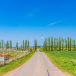 hier gehts leider nur über Asphaltierte Straßen weiter, aber wenigstens ist die Aussicht interessant und schön. - <a href="https://wanderstruck.de">© FotoGlut - Michael Stollmann</a> Wanderung - Talsperre Dachwig - © FotoGlut - Michael Stollmann