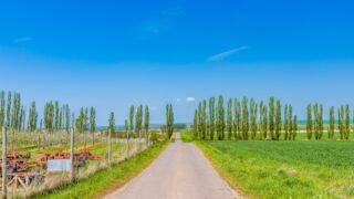 hier gehts leider nur über Asphaltierte Straßen weiter, aber wenigstens ist die Aussicht interessant und schön. - <a href="https://wanderstruck.de">© FotoGlut - Michael Stollmann</a> Wanderung - Talsperre Dachwig - © FotoGlut - Michael Stollmann