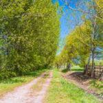 Der schönere Weg führt hier entlang zurück zum See. - <a href="https://wanderstruck.de">© FotoGlut - Michael Stollmann</a> Wanderung - Talsperre Dachwig - © FotoGlut - Michael Stollmann