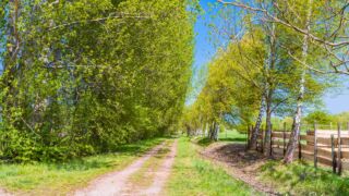 Der schönere Weg führt hier entlang zurück zum See. - <a href="https://wanderstruck.de">© FotoGlut - Michael Stollmann</a> Wanderung - Talsperre Dachwig - © FotoGlut - Michael Stollmann
