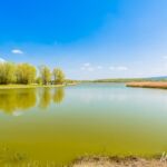 der Stausee an der Talsperre - <a href="https://wanderstruck.de">© FotoGlut - Michael Stollmann</a> Wanderung - Talsperre Dachwig - © FotoGlut - Michael Stollmann