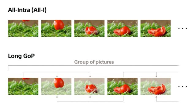 Sony Alpha 1 - All-I GOP