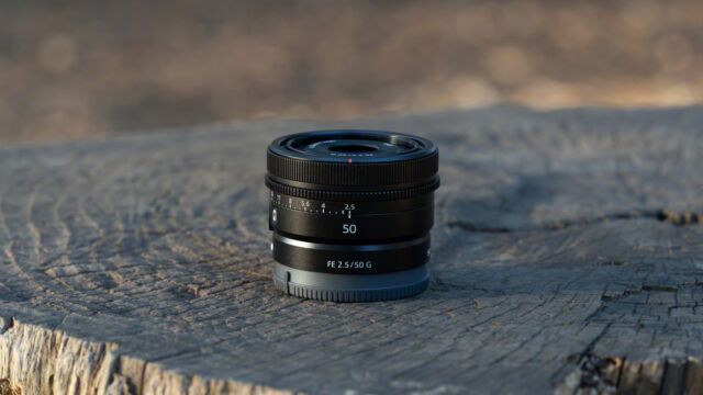 Sony FE 50 Millimeter F2.5 G - auf Baum