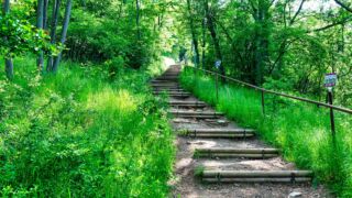 Foto von der "Drei Gleichen" Wanderung - <a href="https://ms29.de">© FotoGlut - Michael Stollmann</a> Drei Gleichen Wanderung - © FotoGlut - Michael Stollmann