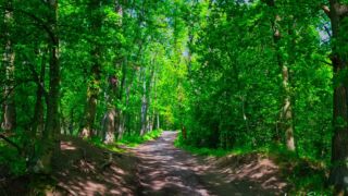 Foto von der "Drei Gleichen" Wanderung - <a href="https://ms29.de">© FotoGlut - Michael Stollmann</a> Drei Gleichen Wanderung - © FotoGlut - Michael Stollmann