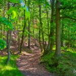 Foto von der "Drei Gleichen" Wanderung - <a href="https://ms29.de">© FotoGlut - Michael Stollmann</a> Drei Gleichen Wanderung - © FotoGlut - Michael Stollmann