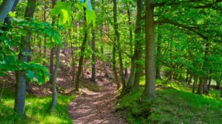 Foto von der "Drei Gleichen" Wanderung - <a href="https://ms29.de">© FotoGlut - Michael Stollmann</a> Drei Gleichen Wanderung - © FotoGlut - Michael Stollmann