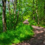 Foto von der "Drei Gleichen" Wanderung - <a href="https://wanderstruck.de">© FotoGlut - Michael Stollmann</a> Drei Gleichen Wanderung - © FotoGlut - Michael Stollmann