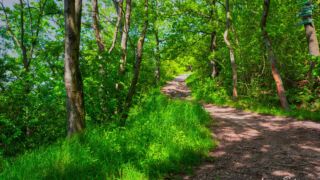 Foto von der "Drei Gleichen" Wanderung - <a href="https://wanderstruck.de">© FotoGlut - Michael Stollmann</a> Drei Gleichen Wanderung - © FotoGlut - Michael Stollmann