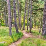 Foto von der "Drei Gleichen" Wanderung - <a href="https://ms29.de">© FotoGlut - Michael Stollmann</a> Drei Gleichen Wanderung - © FotoGlut - Michael Stollmann