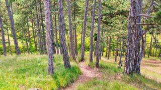 Foto von der "Drei Gleichen" Wanderung - <a href="https://ms29.de">© FotoGlut - Michael Stollmann</a> Drei Gleichen Wanderung - © FotoGlut - Michael Stollmann