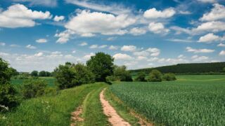 Foto von der "Drei Gleichen" Wanderung - <a href="https://ms29.de">© FotoGlut - Michael Stollmann</a> Drei Gleichen Wanderung - © FotoGlut - Michael Stollmann